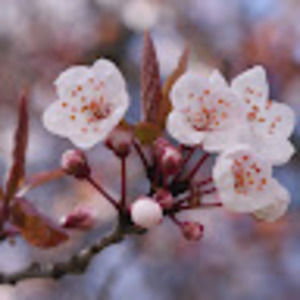 Meet your Posher, Katerina